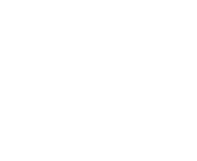 Logo for Pioneer Energy Services